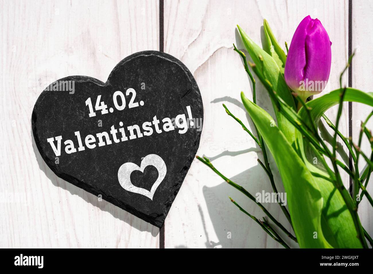 6 febbraio 2024: 14 febbraio giorno di San Valentino, saluto su un cuore accanto a un FOTOMONTAGGIO di tulipani rosa *** 14 febbraio Valentinstag, Gruß auf einem Herz neben einer rosa Tulpe FOTOMONTAGE Foto Stock