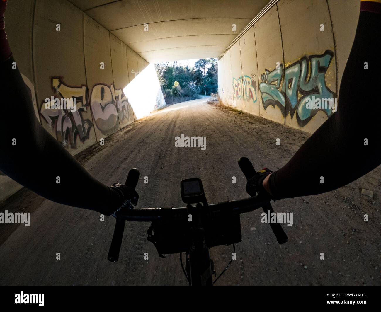 Pedalare su una strada di ghiaia tra alberi in una foresta Foto Stock