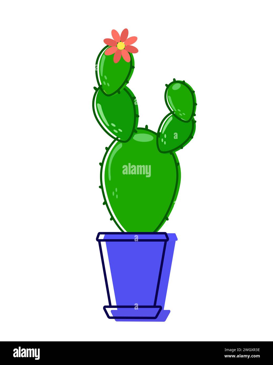 Il cactus rosso verde in una pentola blu fiorisce un fiore rosso. La pianta della casa con le punture verdi si trova all'interno di una casa. Vettore. Illustrazione Vettoriale