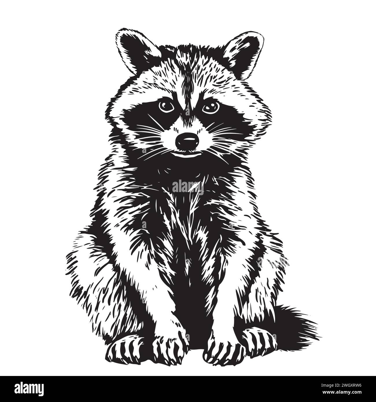 Simpatico disegno a mano di procione. Illustrazione monocromatica vettoriale. Illustrazione Vettoriale