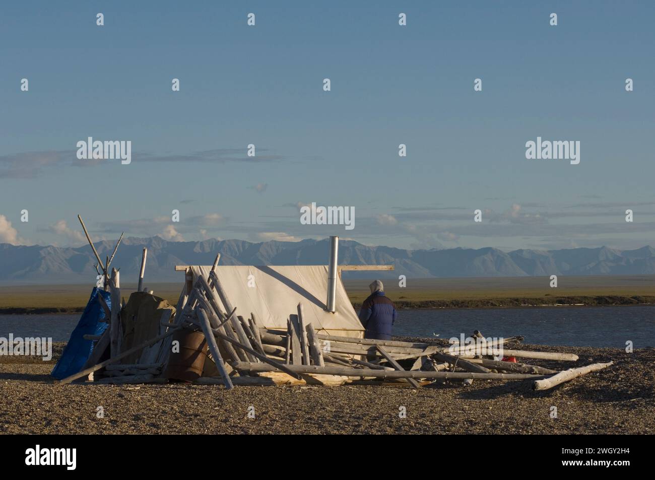 Bruce Inglangasak, campo di pesca che fuma il coregone bianco Coregonus nasus al campo e 1002 pianura costiera e alaska artica Foto Stock