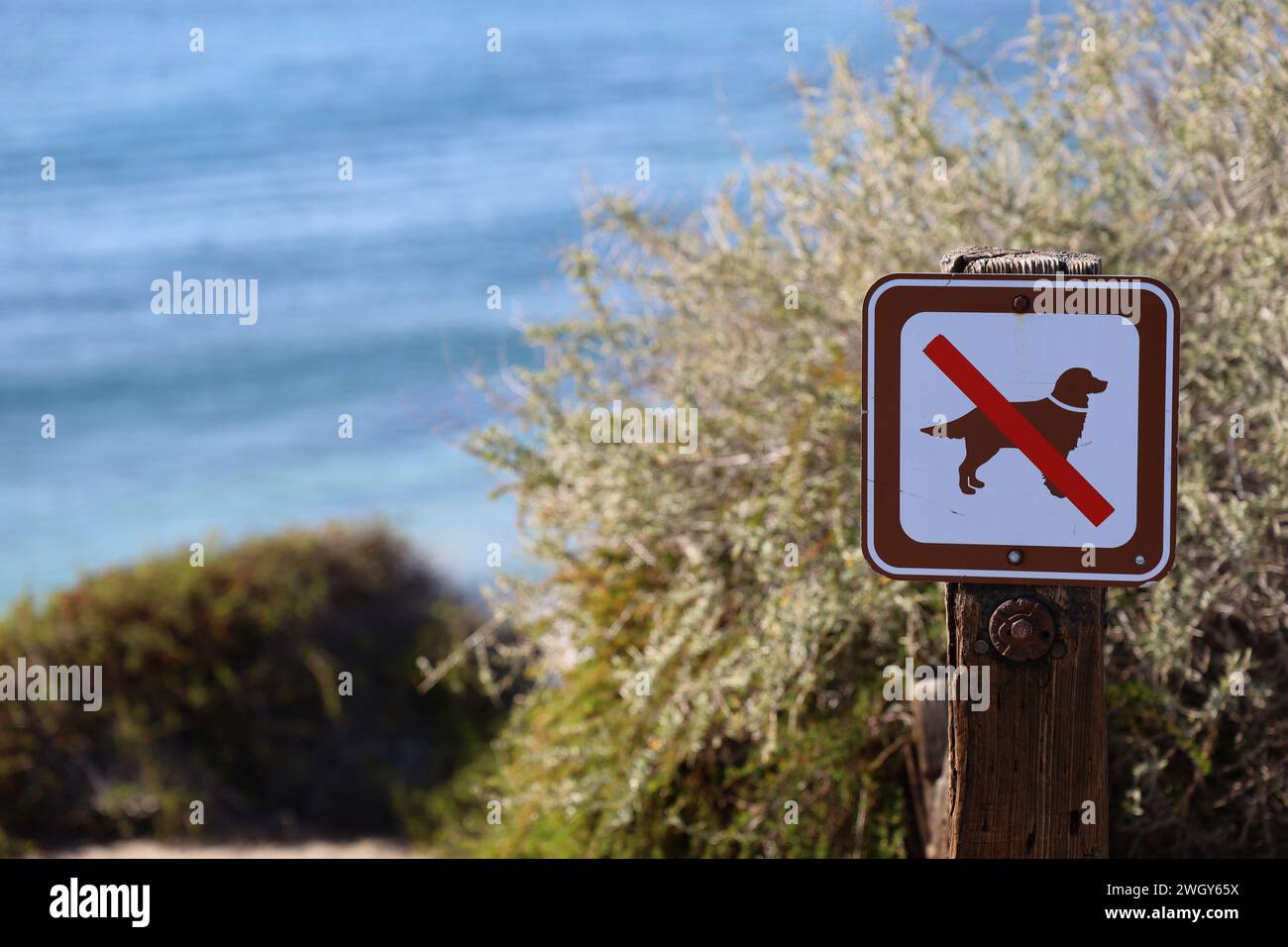 Cartello informativo sul sentiero a piedi di Laguna Beach. Foto Stock