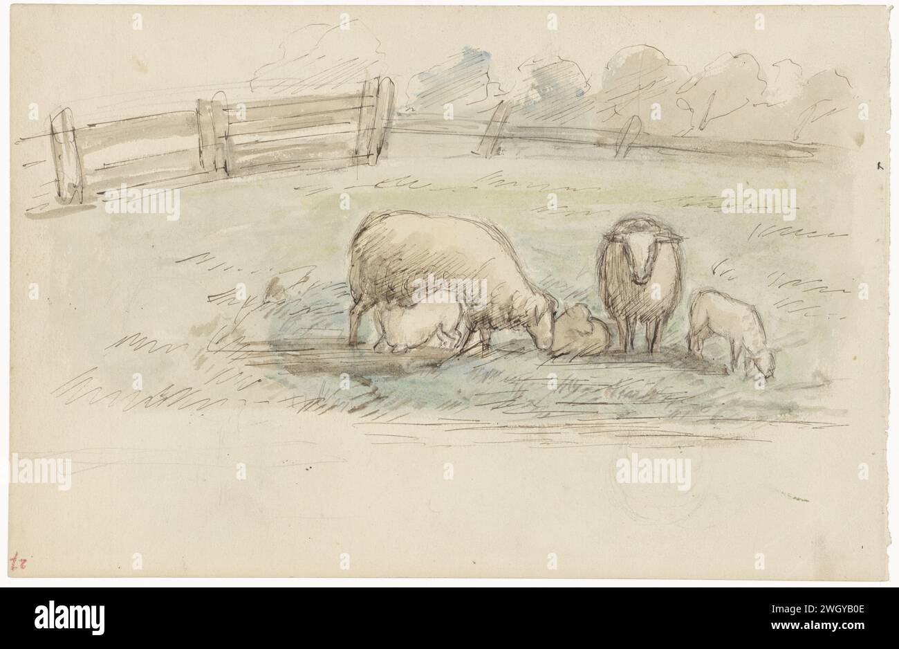 Pecora in un prato, Joseph Israëls, 1834 - 1911 carta da disegno. inchiostro. acquerello (vernice). pennello a matita / penna pecora Foto Stock