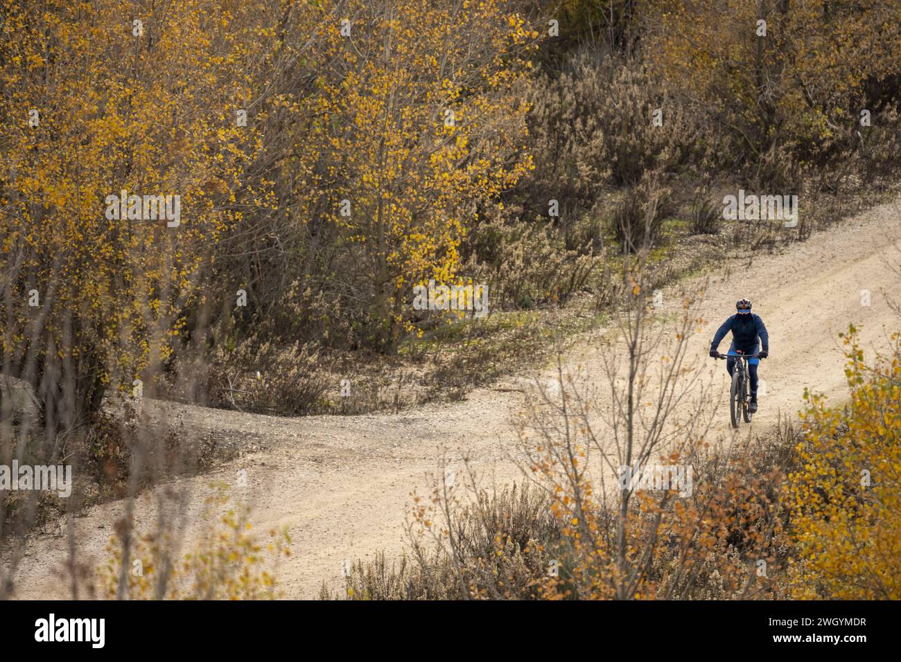 Un ciclista su una bicicletta sterrata percorrendo una strada sterrata e acquosa con fitti alberi su entrambi i lati della pista Foto Stock