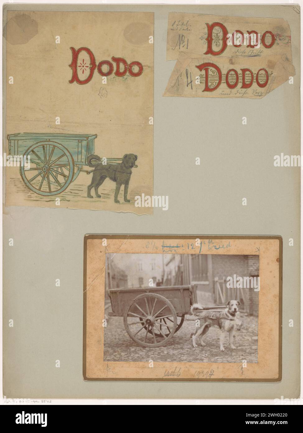 Band Designs for: Johanna R. Peaux, Dodo, 1897, Anonymous, in or before 1897 drawing. Design con fascia fotografica, due lettere e una foto. Il design della band mostra il Trekhond Dodo allungato per un carrello. Il disegno si basa sulla foto, mostra la stessa performance ma su cui è possibile vedere una strada sullo sfondo. I disegni delle lettere presentano linee orizzontali decorative con ricci. carta da ricalco. cartone. supporto fotografico. inchiostro. vernice (rivestimento). spazzola a matita per cani. veicolo a due ruote trainato da un animale Foto Stock