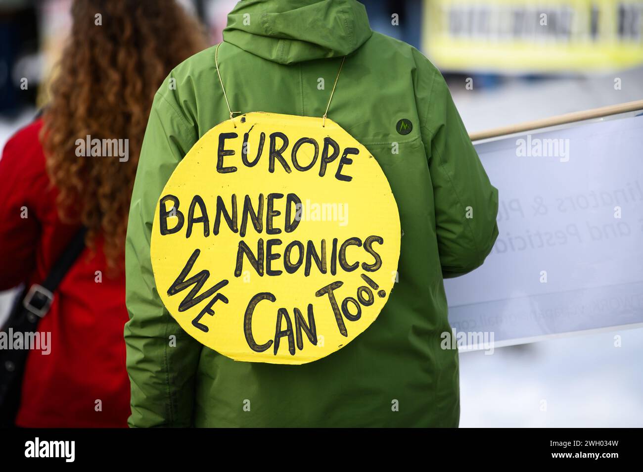 Segni che esprimono preoccupazioni sui neonicotinoidi e sugli effetti sulle api in una manifestazione sul cambiamento climatico alla Vermont State House, Montpelier, VT, 27 gennaio 2024. Foto Stock