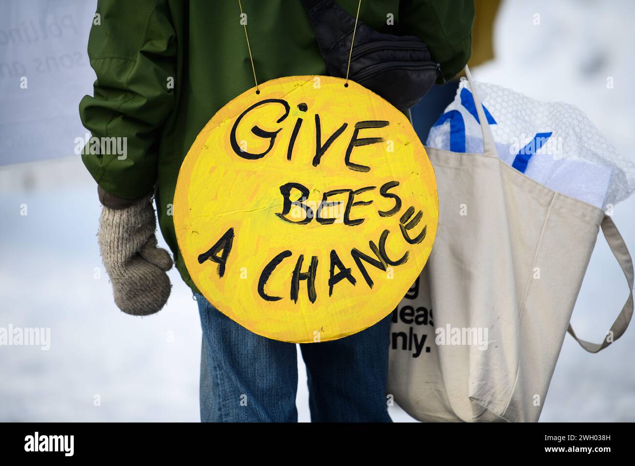Segni che esprimono preoccupazioni sui neonicotinoidi e sugli effetti sulle api in una manifestazione sul cambiamento climatico alla Vermont State House, Montpelier, VT, 27 gennaio 2024. Foto Stock