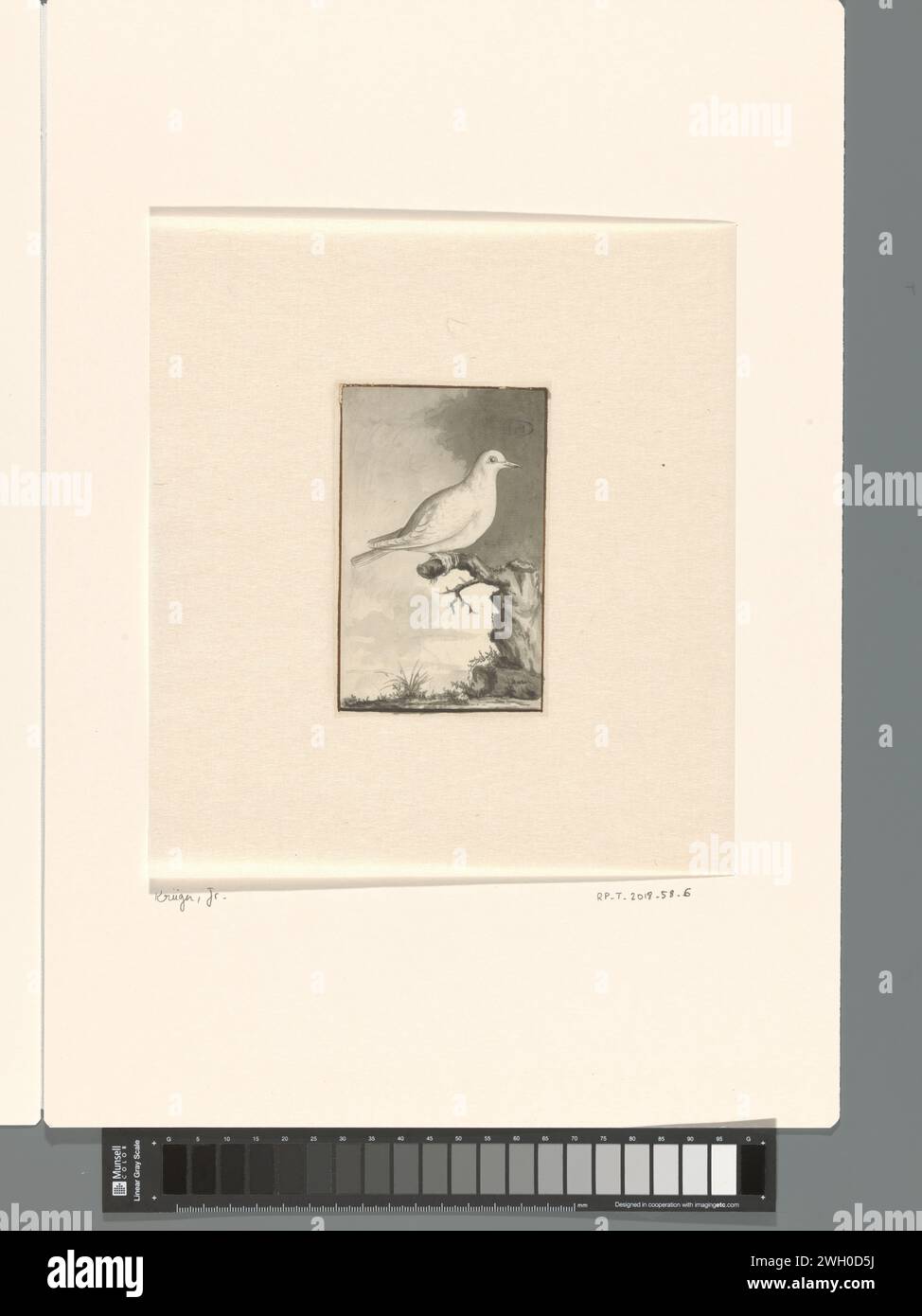 Bird in Landscape, Krüger Jr., c. 1772 - c. 1809 carta da disegno pennello uccelli Foto Stock