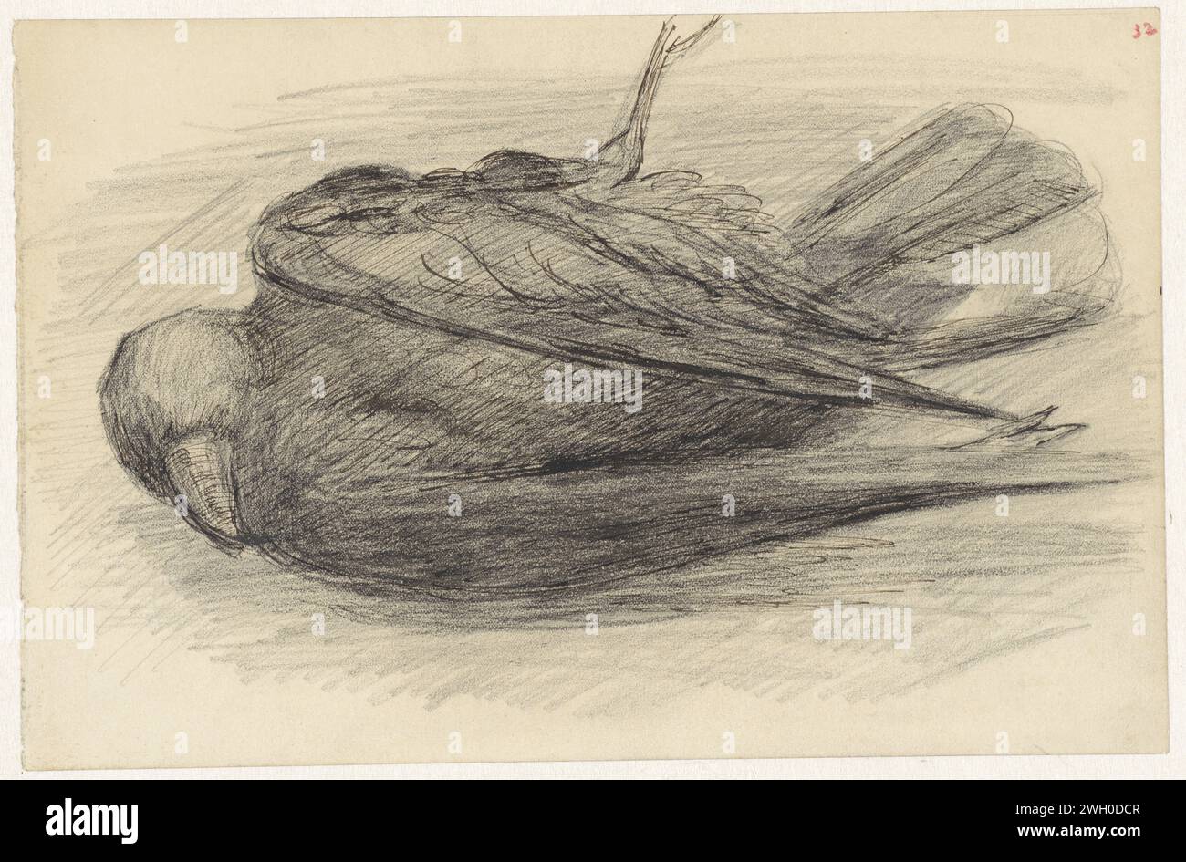 Dead Vogel, Jozef Israëls, 1834 - 1911 carta da disegno. inchiostro. gesso. penna a matita uccelli (+ animale morente; morte dell'animale; animale morto) Foto Stock