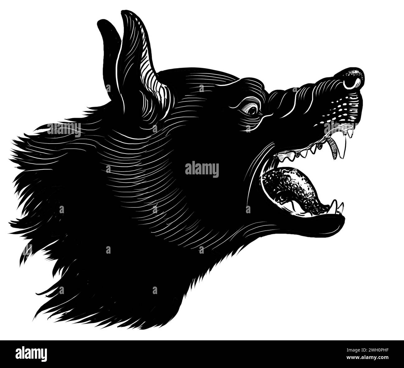 Cane nero arrabbiato. Illustrazione in bianco e nero disegnata a mano Foto Stock