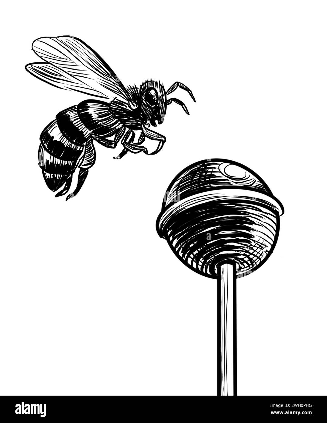 Api volanti e caramelle. Illustrazione in bianco e nero disegnata a mano Foto Stock