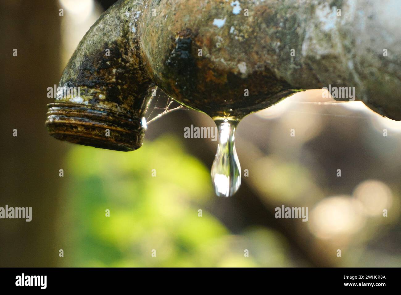 Acqua pulita che fuoriesce da un rubinetto naturale per esterni Foto Stock
