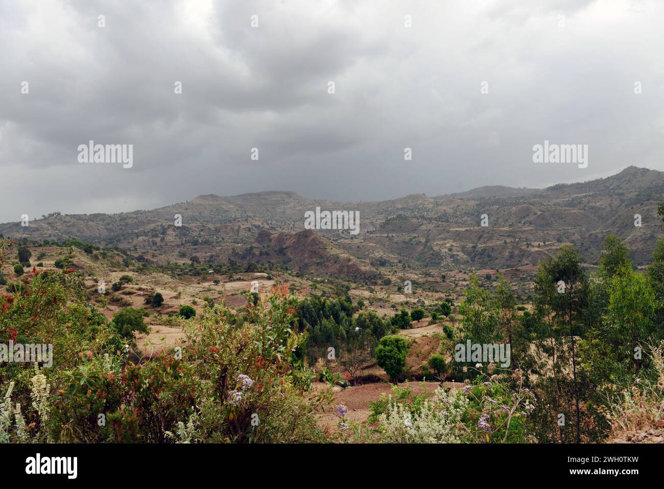 Splendidi paesaggi nella regione del Tigray nel nord dell'Etiopia. Foto Stock