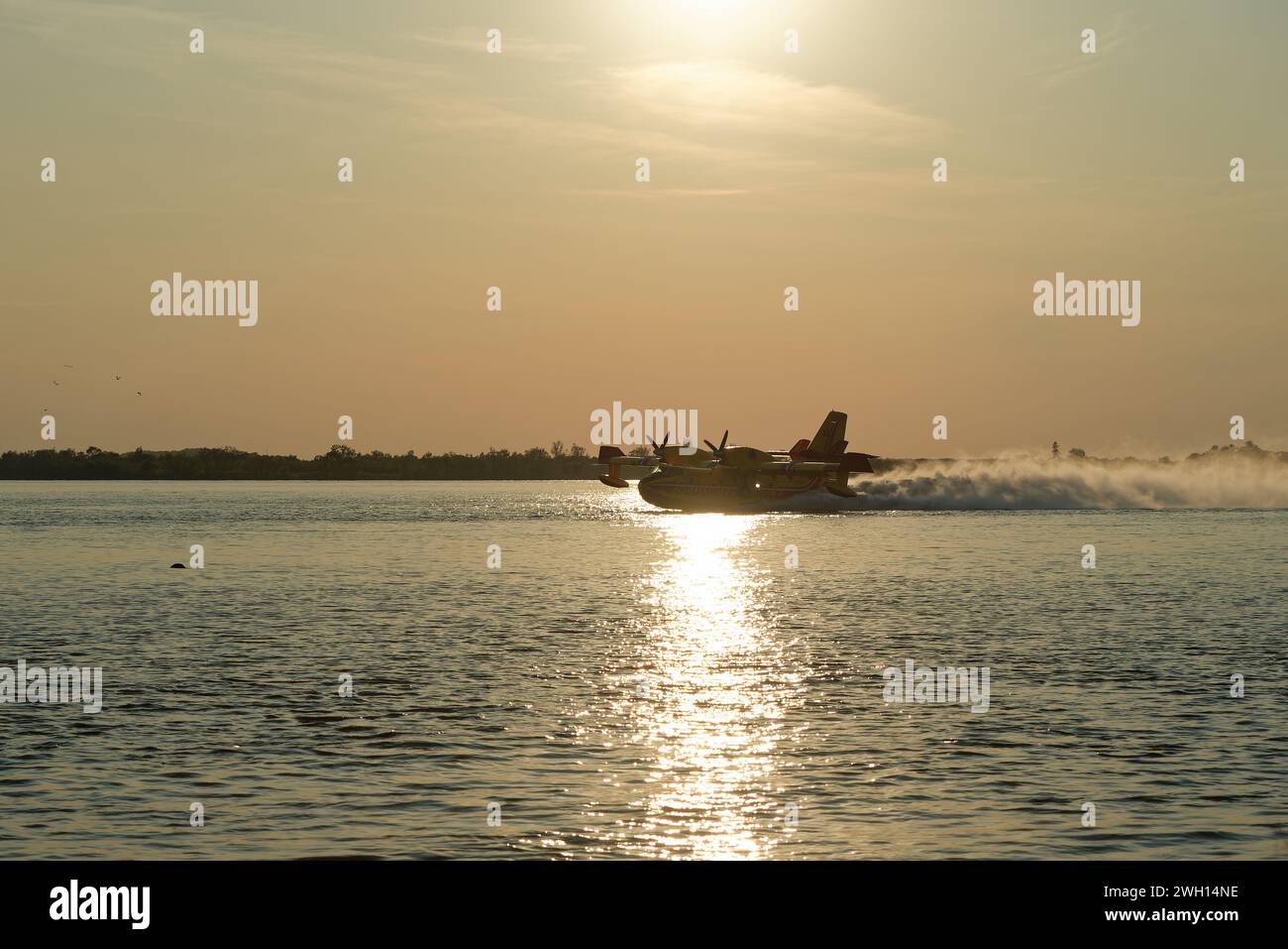 Canadair del vigile del fuoco in volo, riempito d'acqua, sul fiume Dordogna in Gironde Foto Stock