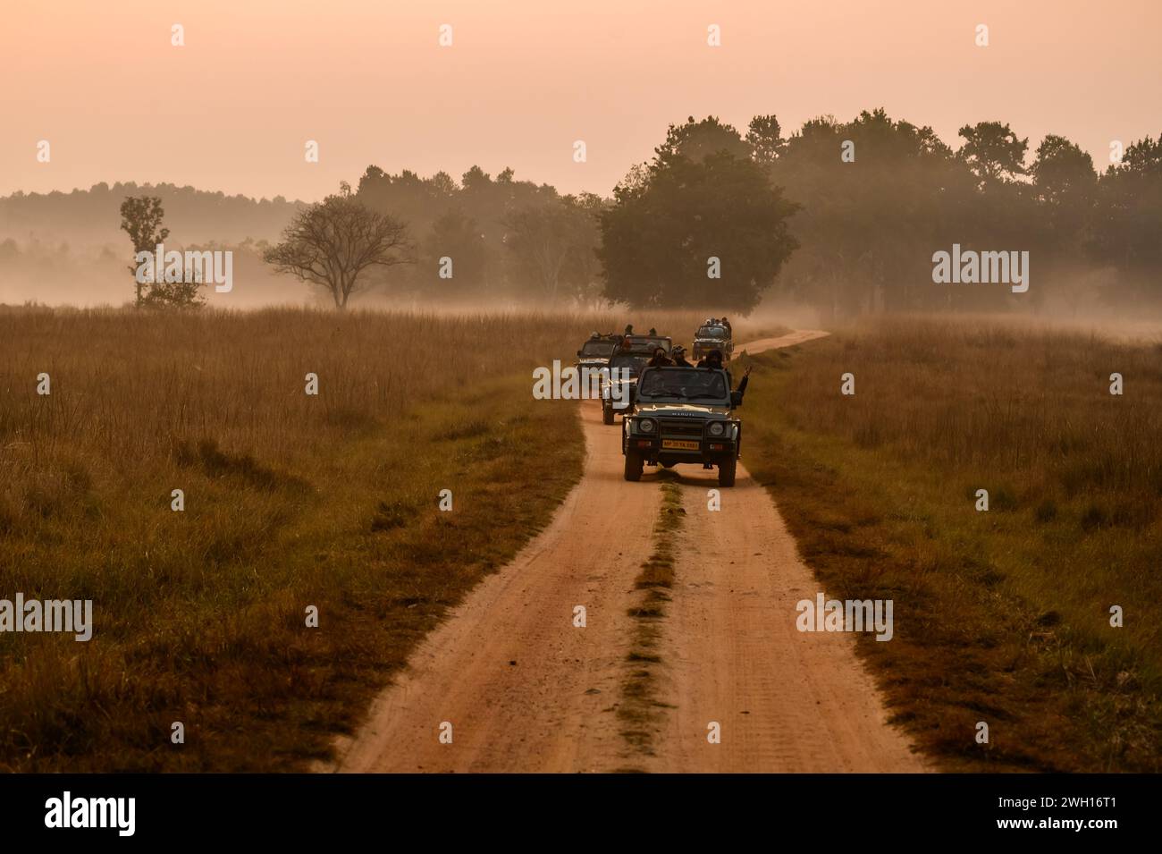 Un gruppo di persone in veicoli che guidano lungo una strada polverosa delimitata da alberi lussureggianti Foto Stock