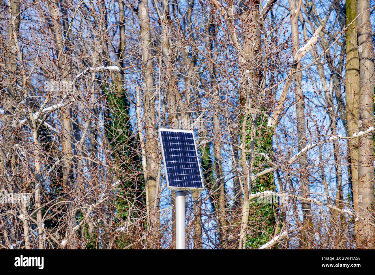 Piccolo pannello solare su pali metallici come sistemi di generazione di energia elettrica, alberi nudi sullo sfondo con tracce di neve contro il cielo blu, alternativa AN Foto Stock