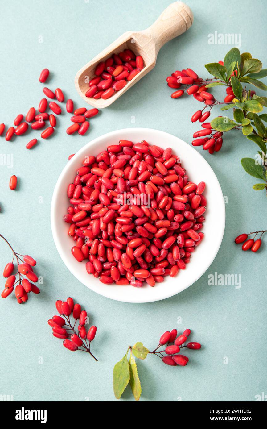 Mucchio di Berberis vulgaris noto anche come Barberry comune, Barberry europeo o Barberry su piatto su sfondo blu. Frutta medicinale a base di erbe commestibile. Foto Stock