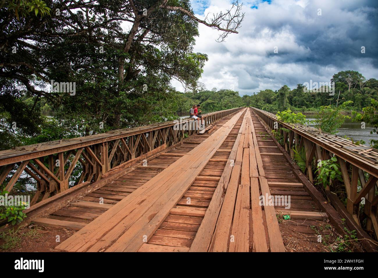 La vita naturale ed endemica che circonda il fiume Suriname Foto Stock