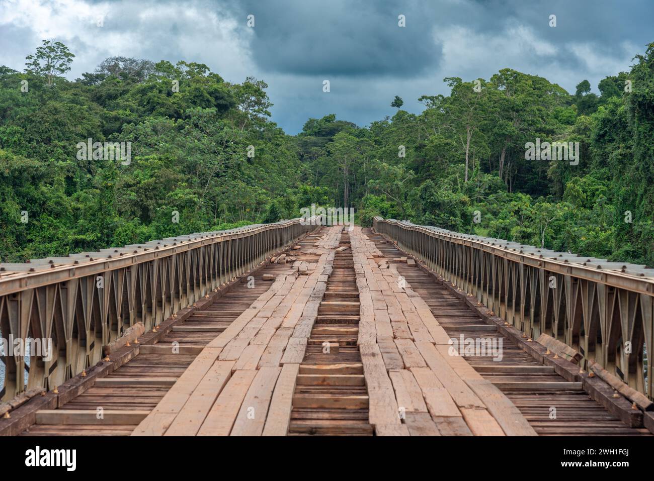 La vita naturale ed endemica che circonda il fiume Suriname Foto Stock