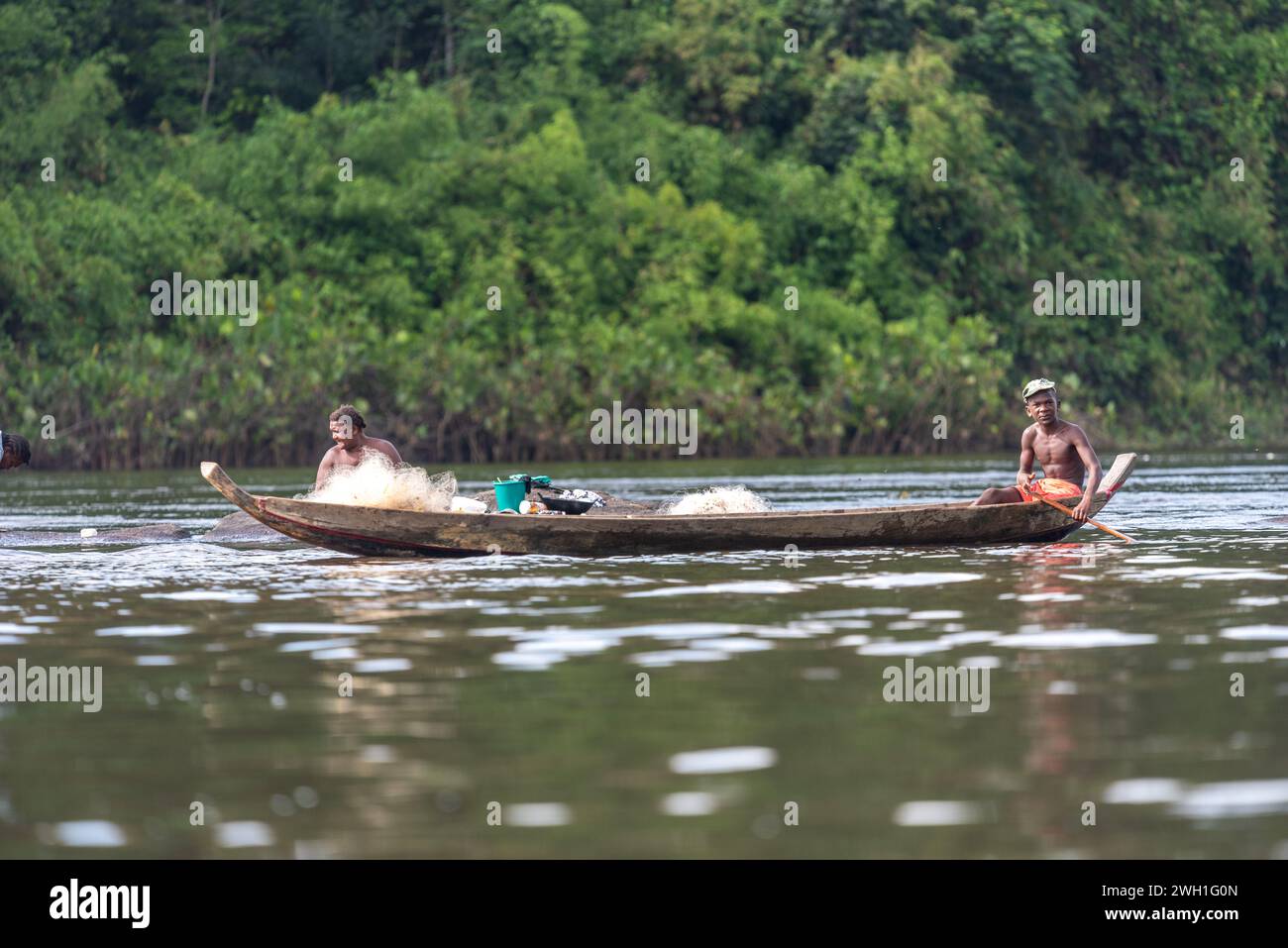 La vita naturale ed endemica che circonda il fiume Suriname Foto Stock