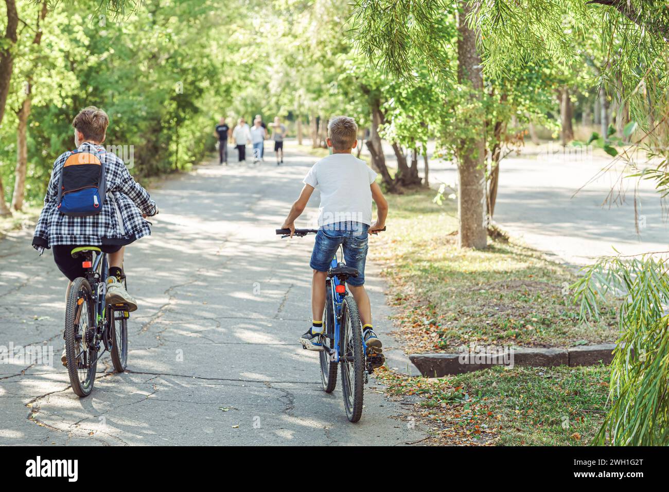 Due ragazzi gioiosi che cavalcano in bicicletta su una pista ciclabile nel parco con vegetazione lussureggiante nelle calde e soleggiate giornate estive, godendosi la libertà e la bellezza della vita all'aria aperta Foto Stock