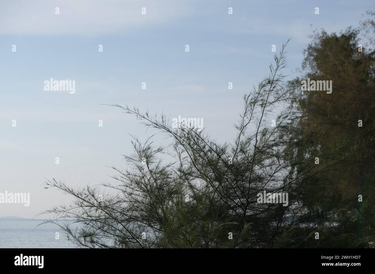 Giorno nuvoloso Foto Stock