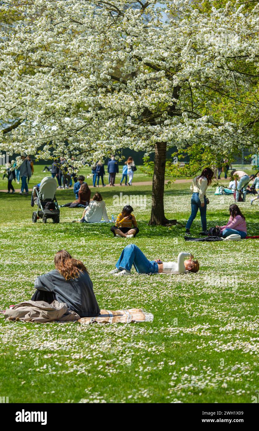 La gente gode del sole mentre i fiori fioriscono a St James's Park, Londra. Foto Stock