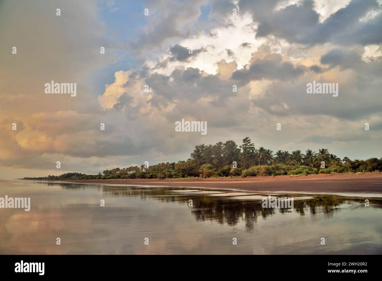 Trees Reflection, Bhagal Beach, Valsad, Gujarat, India, Asia Foto Stock