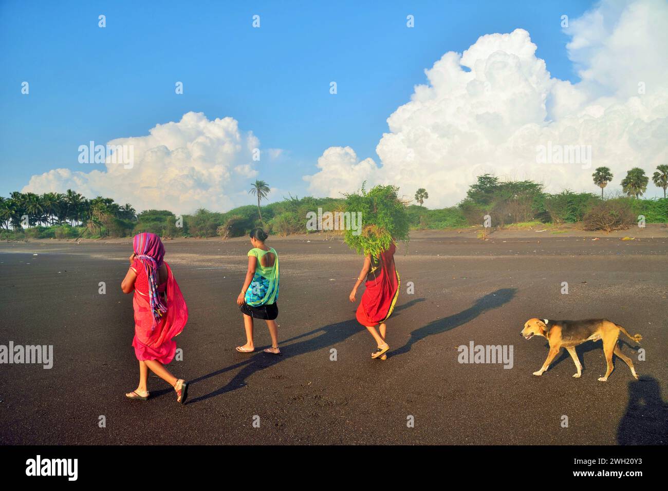Donne e cani, spiaggia di Bhagal, Valsad, Gujarat, India, Asia Foto Stock