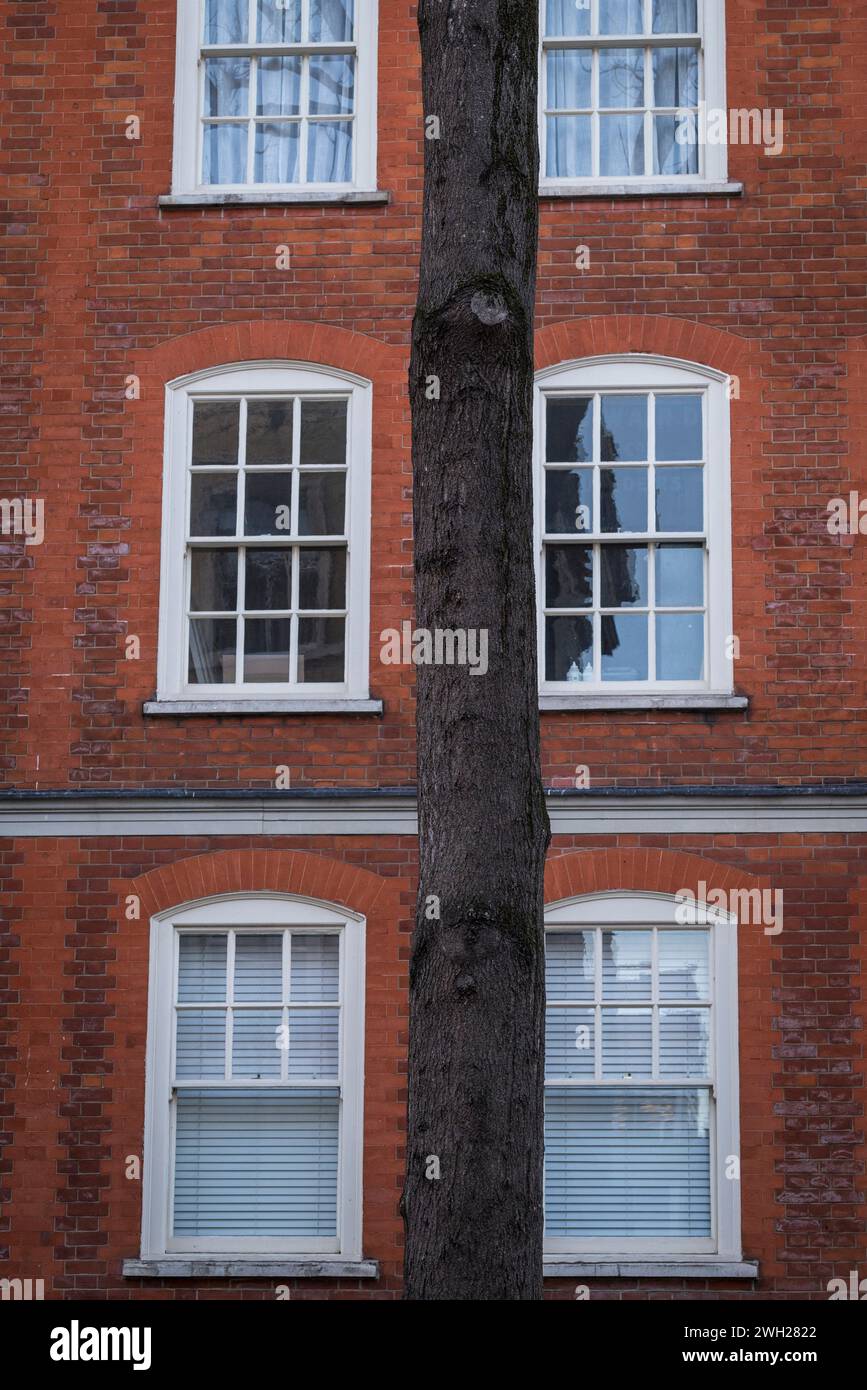 Red Brick House e un tronco d'albero, Broad Court Street, WC2, Covent Garden, Londra, Inghilterra, Regno Unito Foto Stock