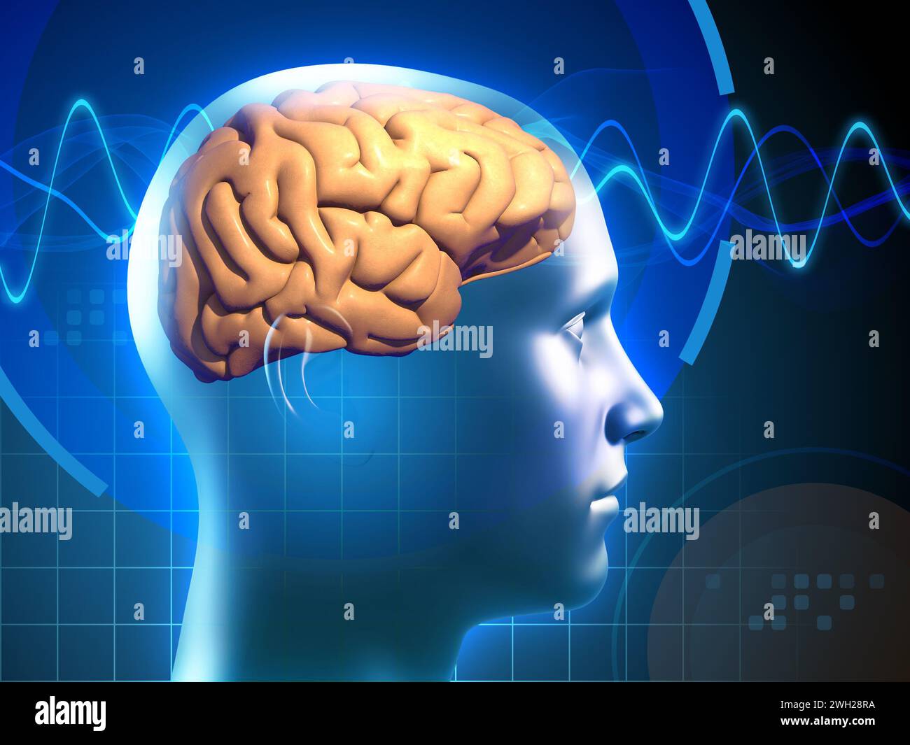 Un'immagine di un cervello umano, attraversato da segnali elettrici, che rappresenta i processi mentali in azione. Illustrazione digitale, rendering 3D. Foto Stock
