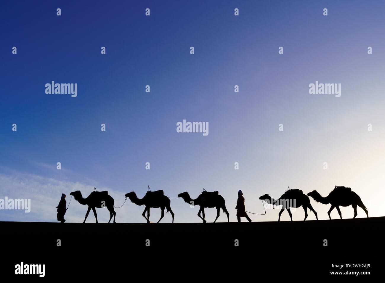 Merzouga, Marocco - 02 aprile 2023: Silhouette di cammelli e gestore, tra le dune di sabbia di Merzouga, deserto del Sahara, Marocco Foto Stock