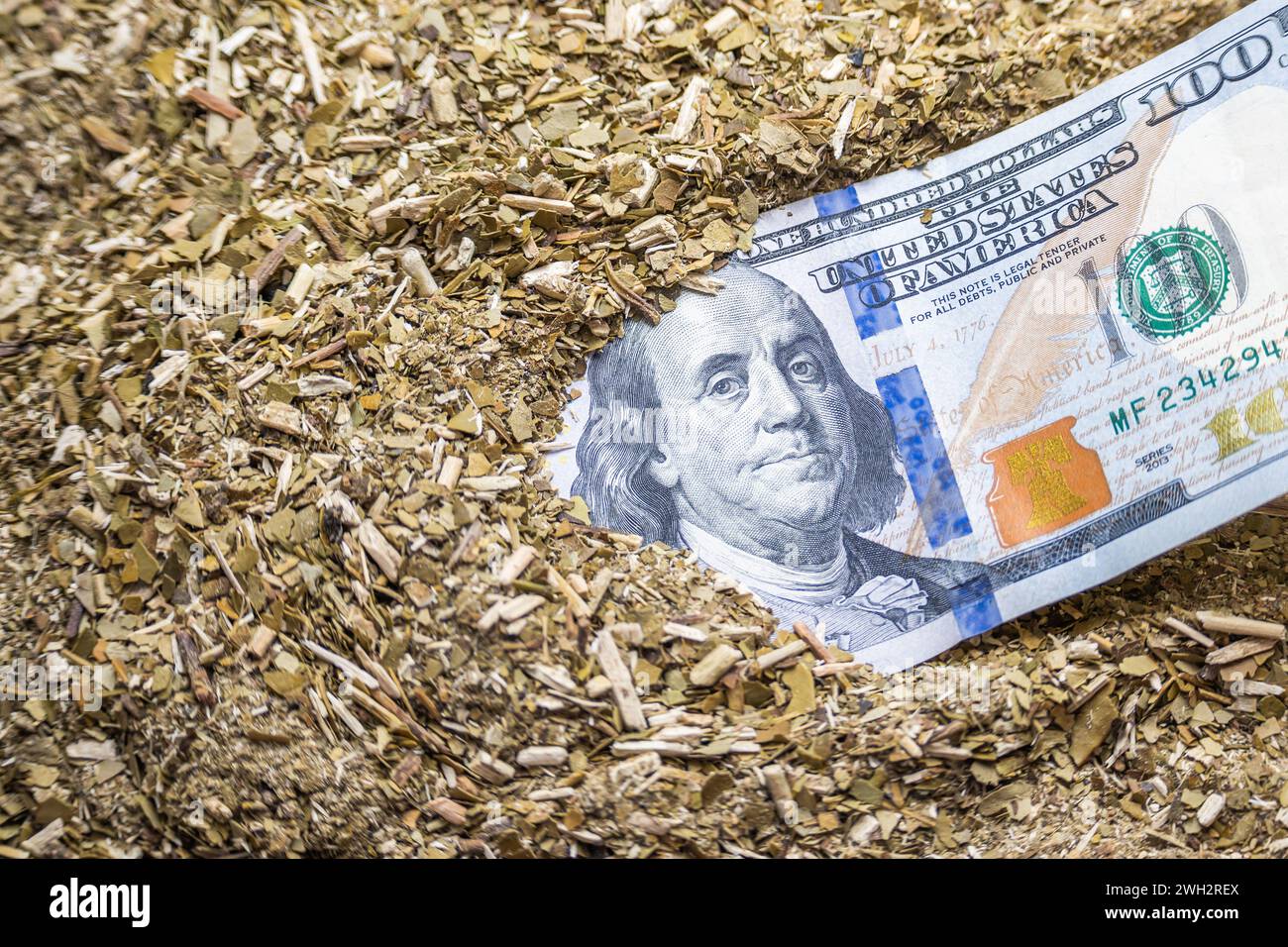 Banconota da un dollaro e yerba mate. Concetto di problemi di esportazione di yerba mate. Foto Stock