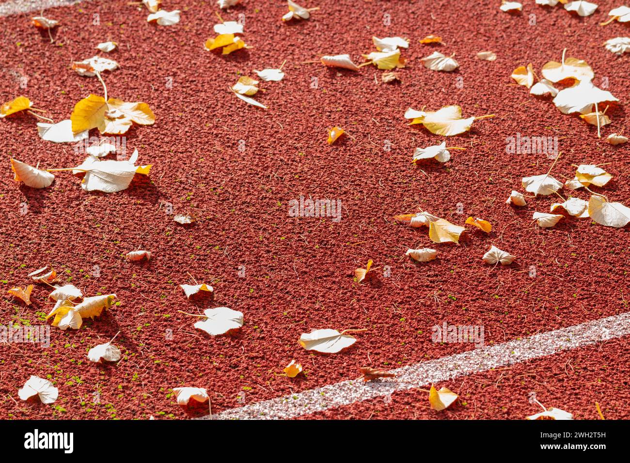 Pista da corsa rossa allo stadio con foglie autunnali. Foto Stock