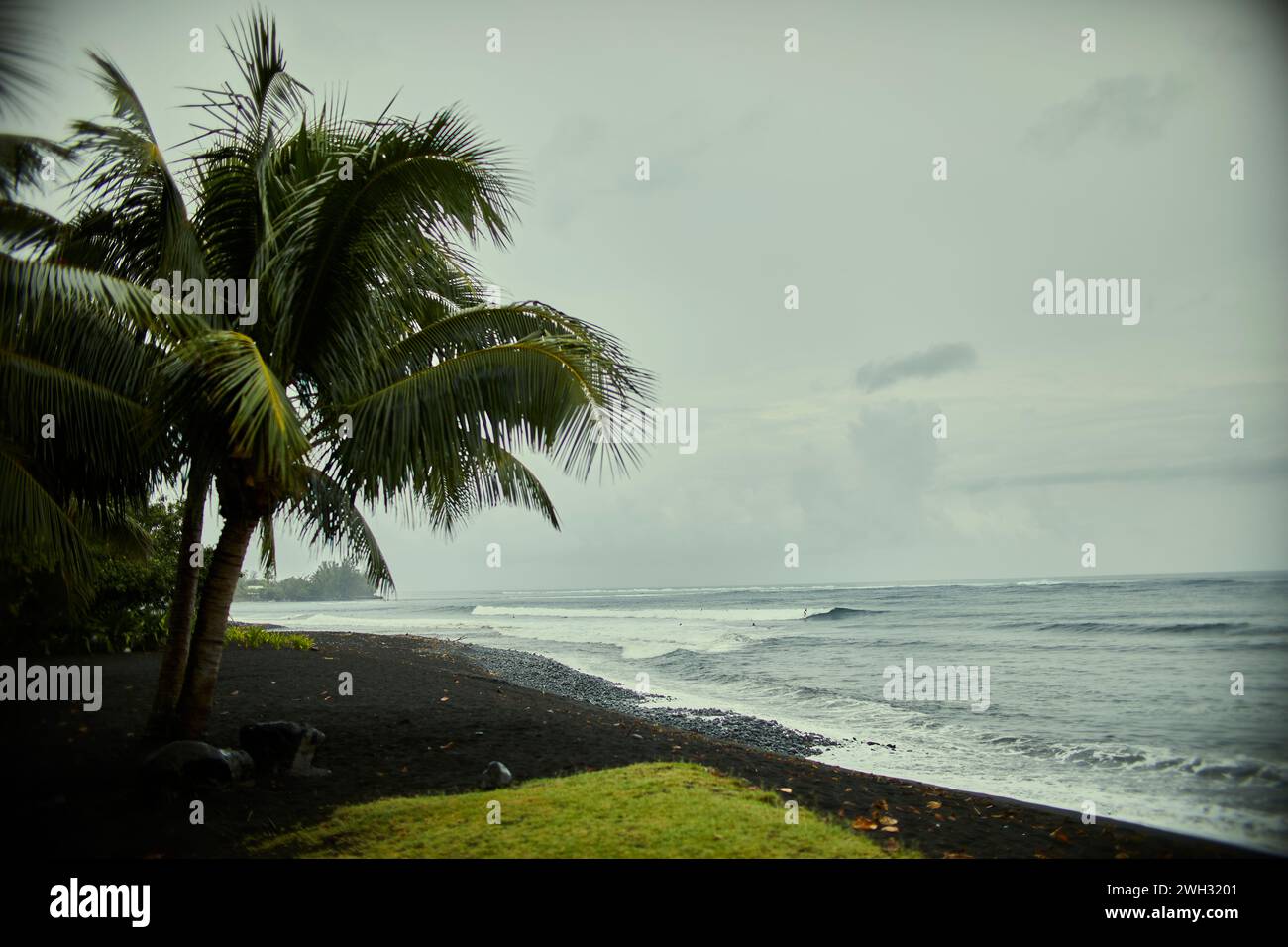 Spiaggia di sabbia nera su un'isola tropicale Foto Stock