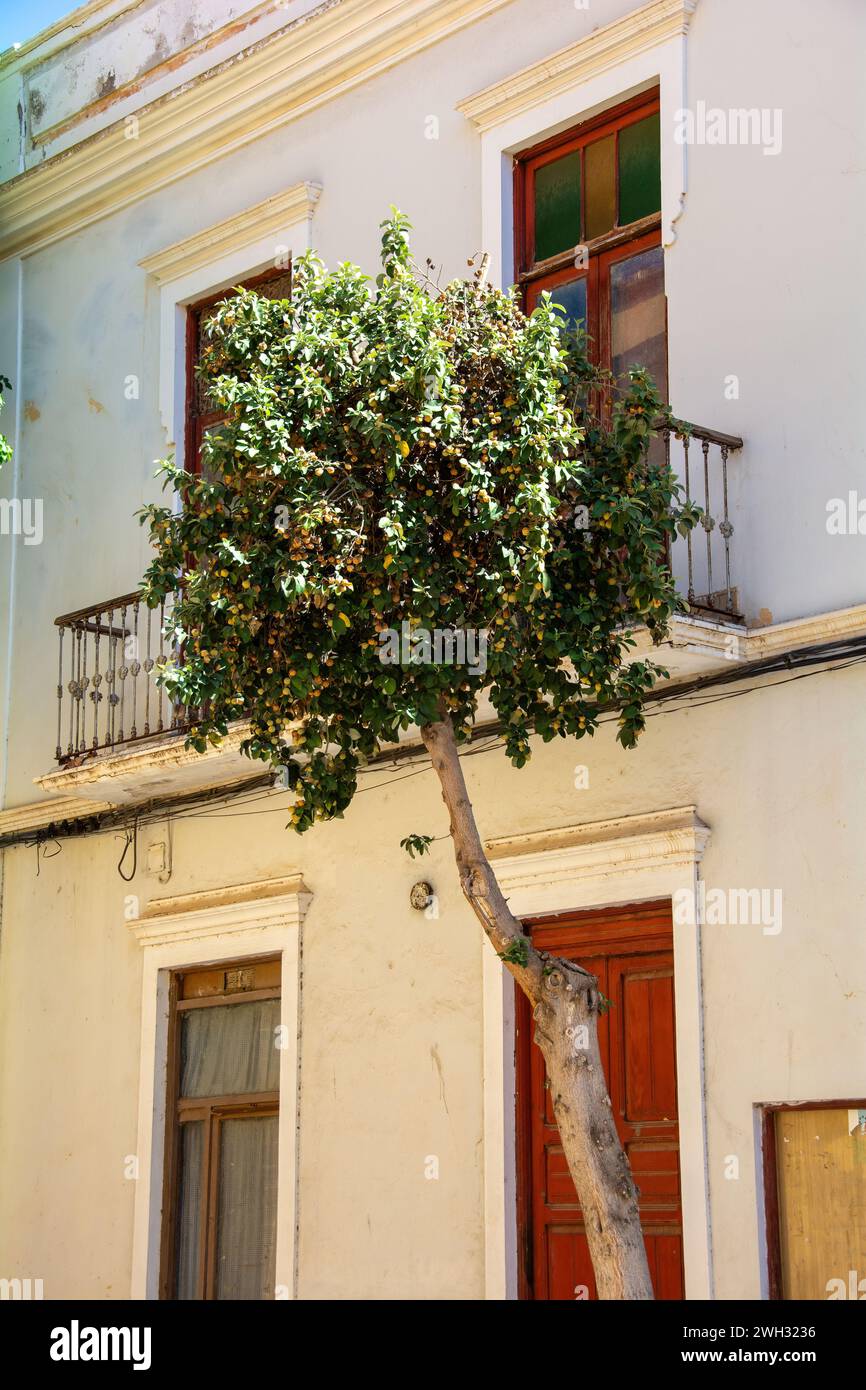 Vecchia casa con balcone e un albero in Spagna sull'isola Canaria di Gran Canaria Foto Stock