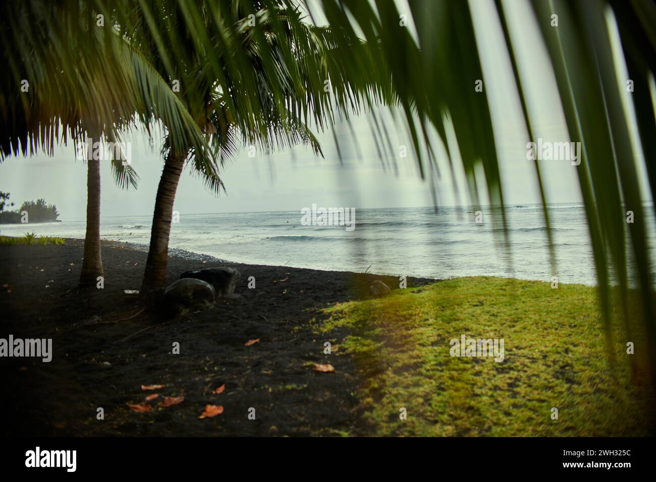 Spiaggia di sabbia nera su un'isola tropicale Foto Stock
