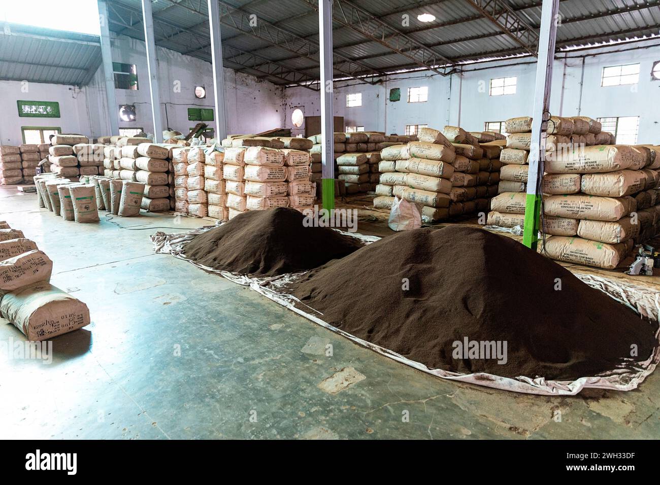 All'interno di una storica fabbrica di tè dell'Assam, in India, che mostra il processo di essiccazione, macchinari industriali, confezionamento e preparazione per l'esportazione globale. Foto Stock