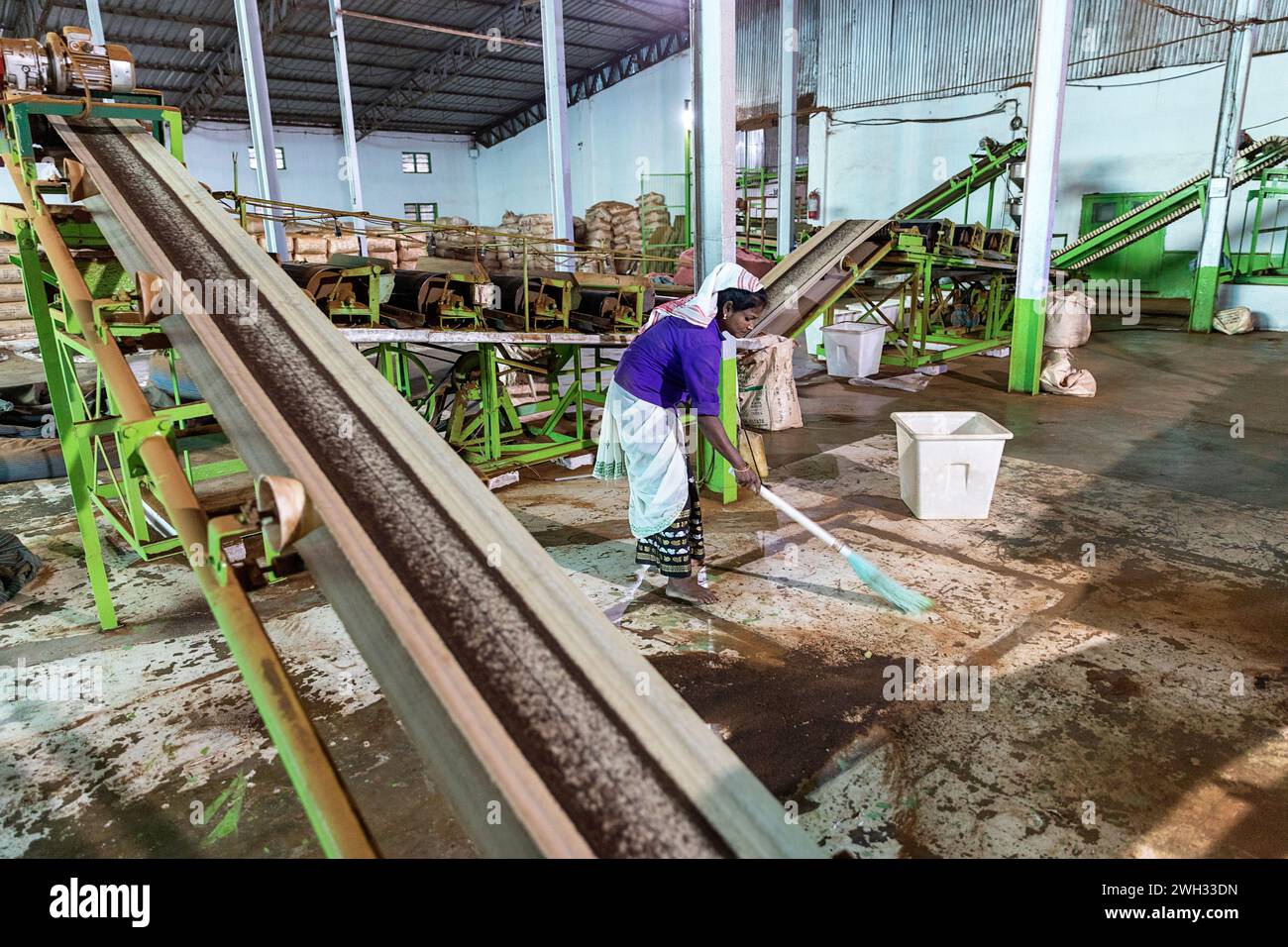 Un lavoratore indiano che porta un grande sacco pesante di foglie di tè lavorate sulla testa all'interno di una storica fabbrica di tè nella regione dell'Assam, India. Foto Stock