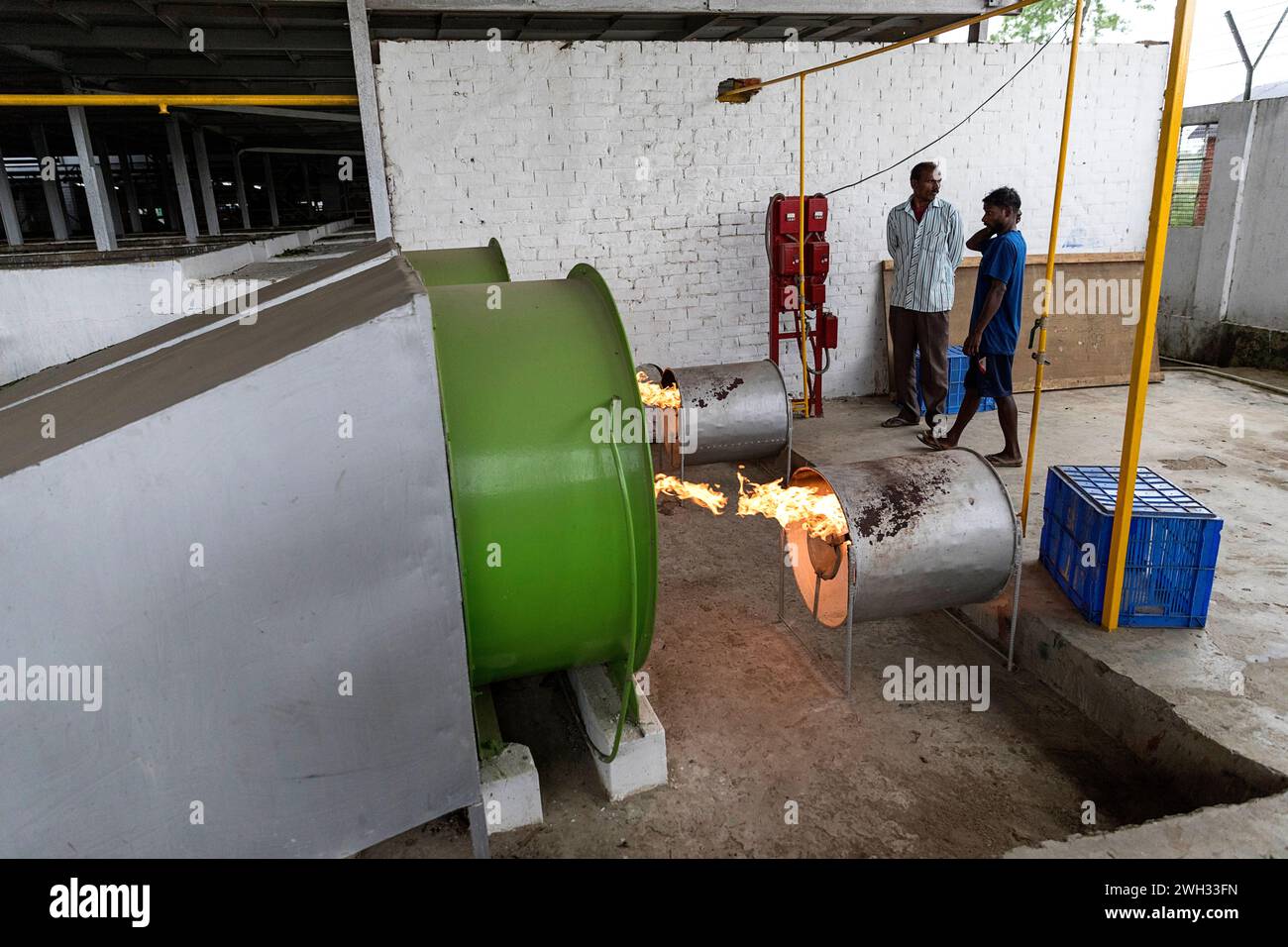 All'interno di una storica fabbrica di tè dell'Assam, in India, che mostra il processo di essiccazione, macchinari industriali, confezionamento e preparazione per l'esportazione globale. Foto Stock
