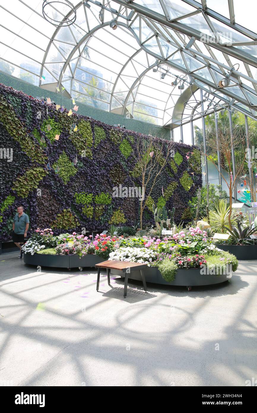 The Living Wall in the Calyx, Royal Botanical Gardens, Sydney, Australia Foto Stock