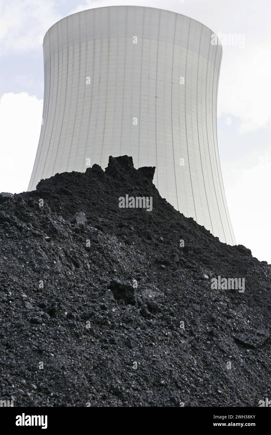 Rund 20 LKW mit insgesamt 500 Tonnen Kohle kippen auf dem Kraftwerk Fenne Kohle ab foto: Thomas Wieck V e r o e f e n t l i c h u n g n u r m i t Foto Stock