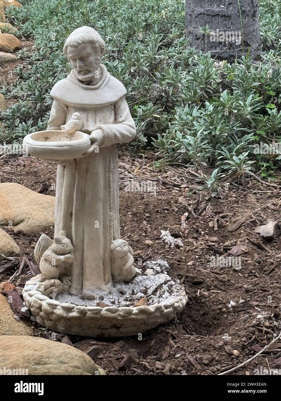 Santa Barbara, CA, USA - 18 dicembre 2023: Frontal Closeup. Statua bianca di San Francesco nel cortile interno della chiesa Old Mission, raffigurata con l'uccello A. Foto Stock