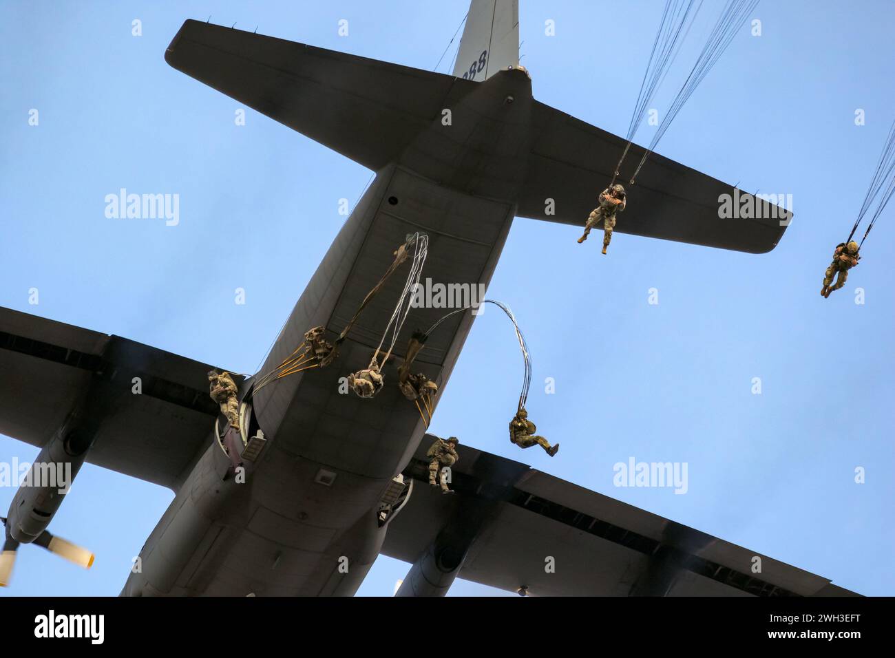 Paracadutisti militari NATO paracadutisti paracadutisti che saltano da un aereo da trasporto Lockheed C-130 Hercules. Paesi Bassi - 16 settembre 2023 Foto Stock