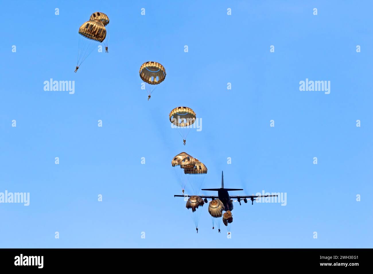 Paracadutisti militari paracadutisti paracadutisti che saltano da un aereo dell'aeronautica. Foto Stock