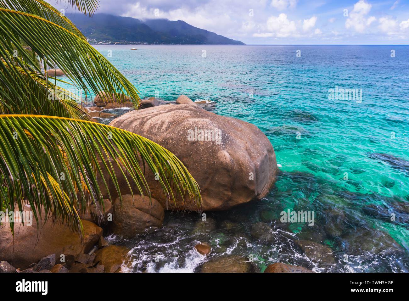 Paesaggio costiero con palme, rocce e acqua blu dell'oceano in un giorno d'estate. Spiaggia di Vista do Mar, isola di Mahe, Seychelles. Foto Stock