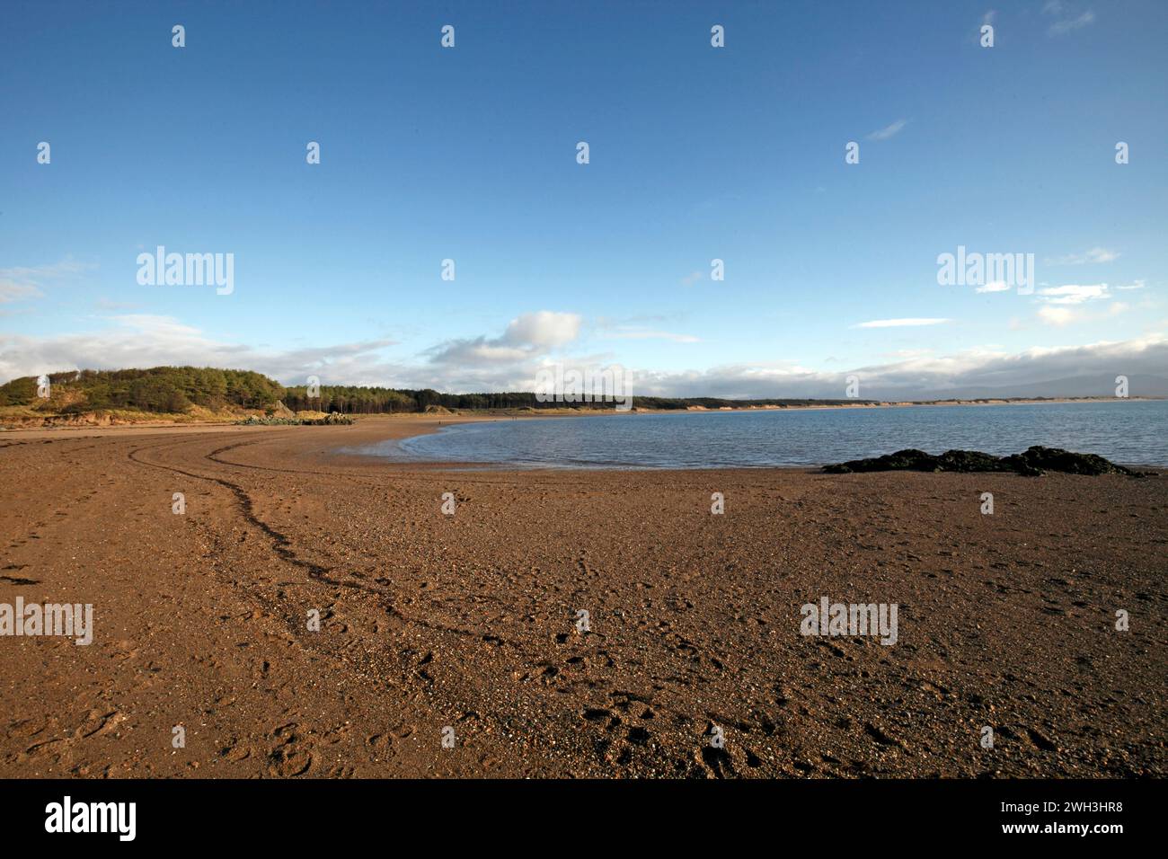 Traeth Llanddwyn, parte della Newborough Warren National Nature Reserve. , Anglesey, Galles, Regno Unito Foto Stock