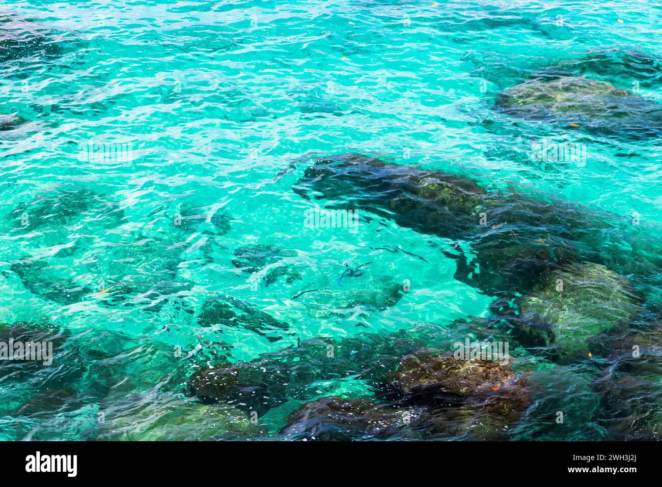 Superficie dell'acqua di mare con ondulazioni e rocce su un fondo marino. Foto di sfondo naturale dell'Oceano Indiano Foto Stock