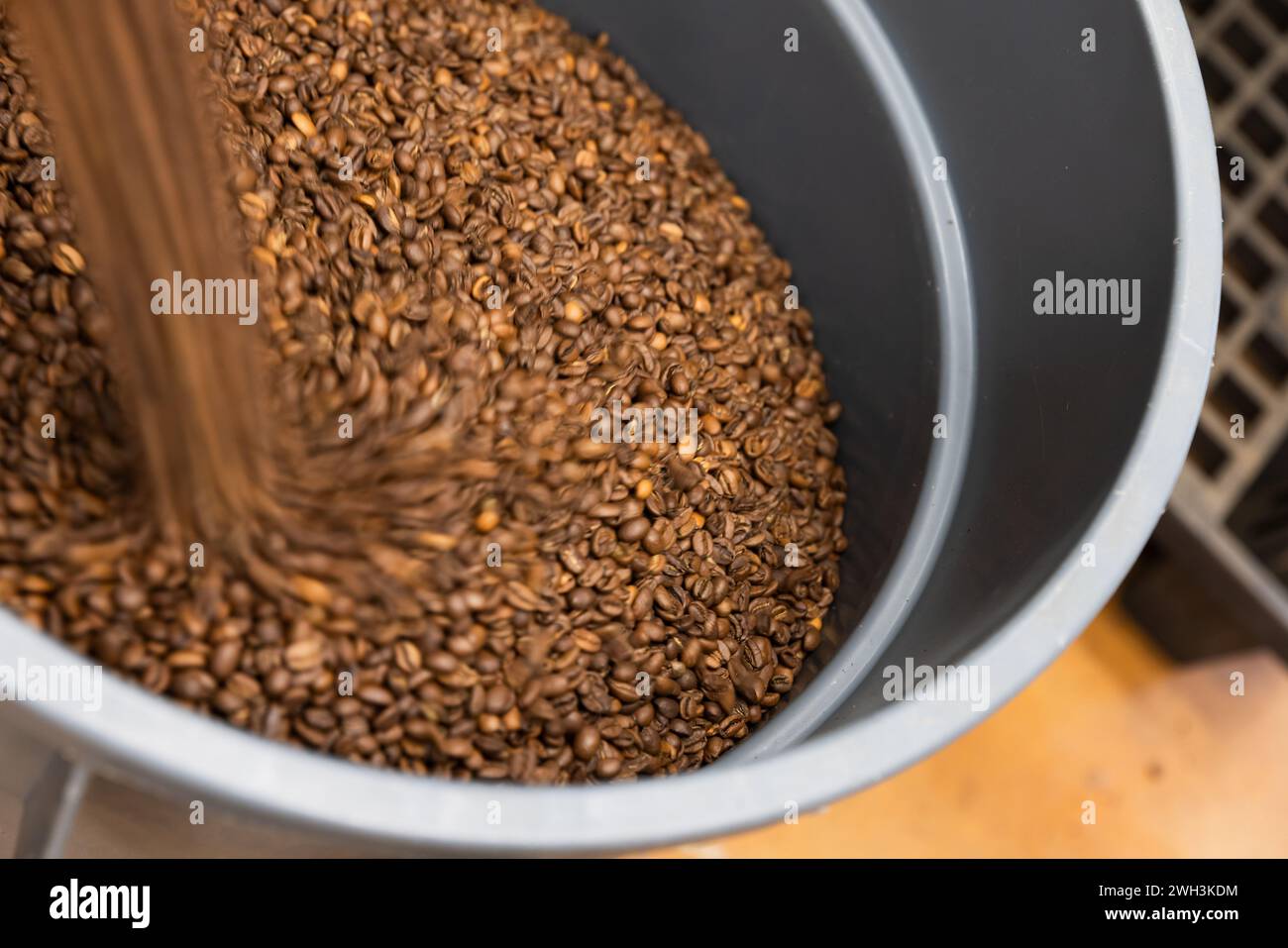 I chicchi di caffè arabica tostati subito dopo la tostatura vengono versati in un contenitore ricevente, foto ravvicinata con effetto di sfocatura in movimento Foto Stock