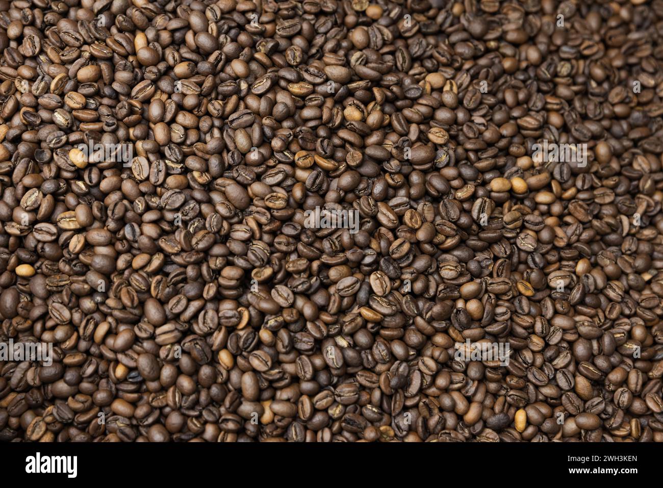 Chicchi di caffè arabica selezionati tostati, texture fotografica di sfondo Foto Stock